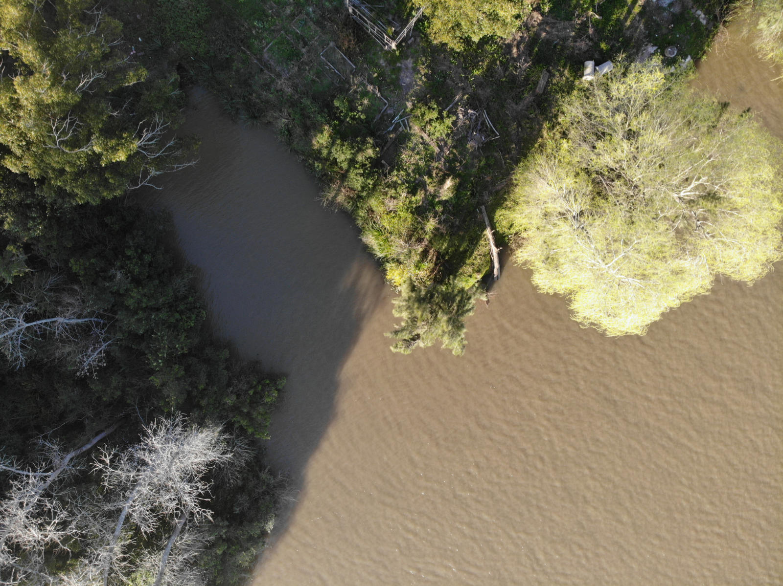 An overhead view of a brown body of water jutting up against a green landscape dotted with pale trees.