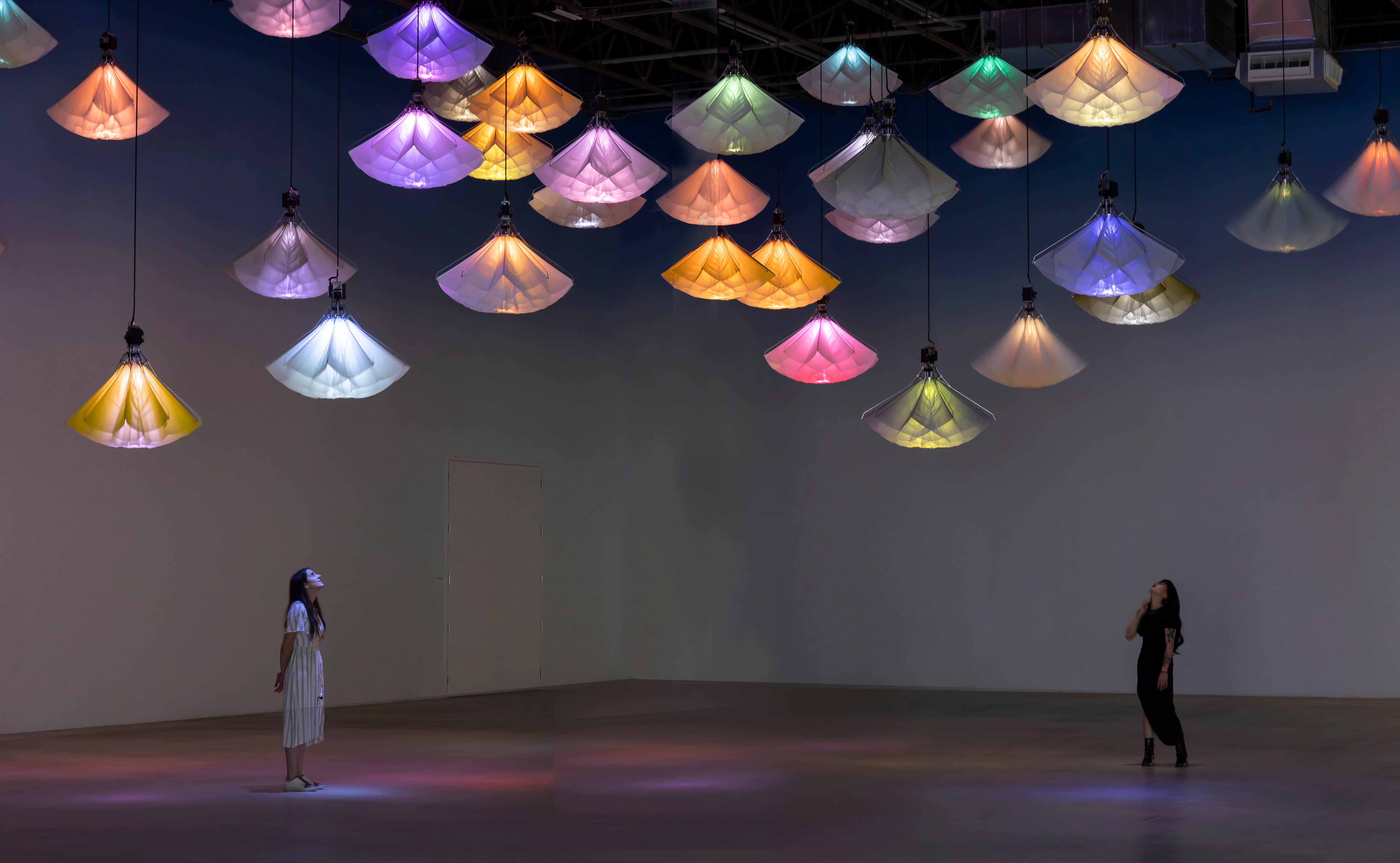 Photograph of Meadow installed in a gallery. Dozens of colorful, lit chandeliers shaped like blooms hang from the ceiling at different heights. Two people stand at opposite ends of the gallery and look up at the installation.