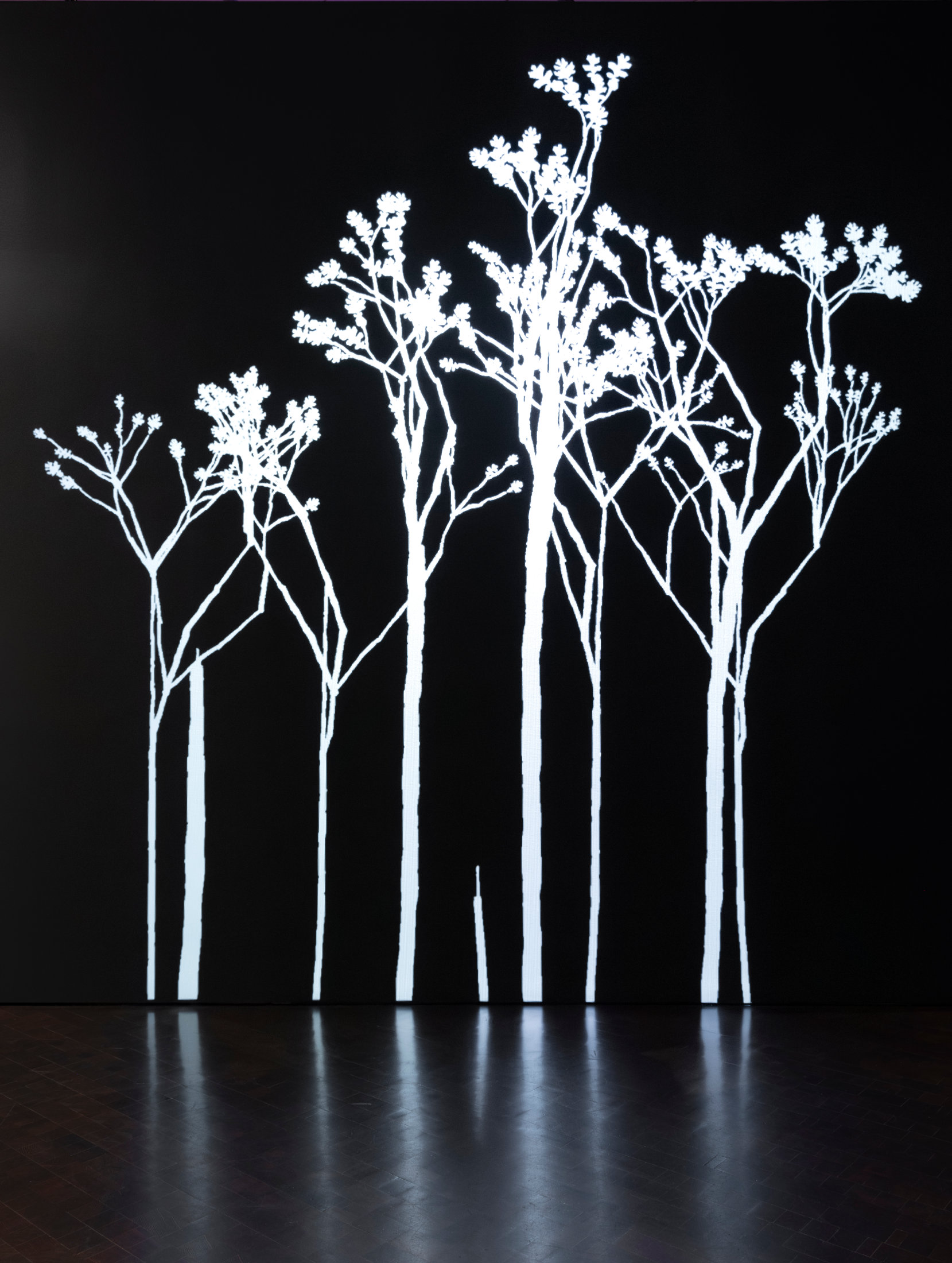 Image of digital light projection on the wall of plant life that reacts to visitors as they pass by. The projection is several feet high.