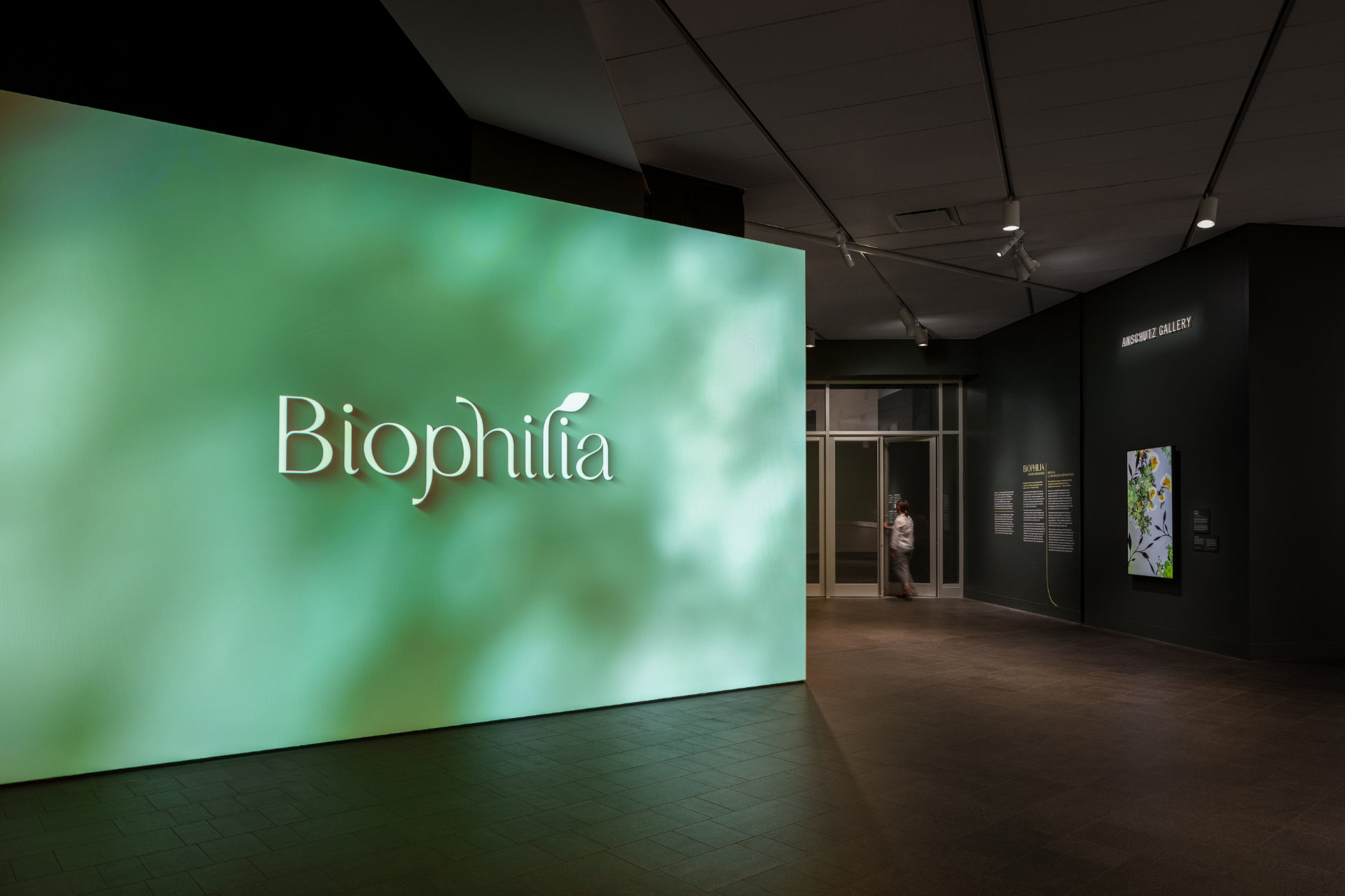 A photograph of the entrance to the Biophilia exhibition, with the title displayed on a large mottled green and white wall.