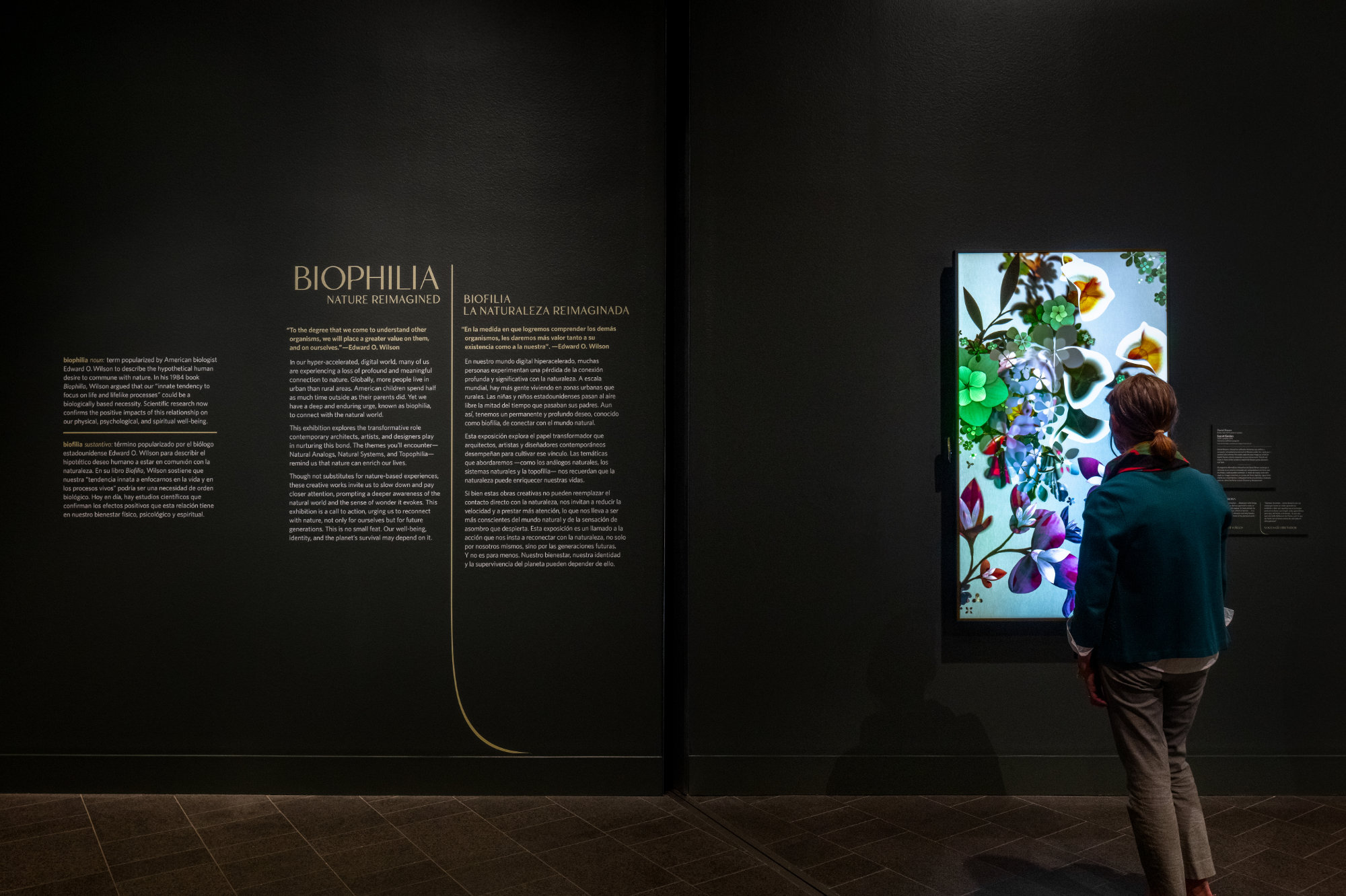 A person views a colorful floral artwork on a brown wall with light text.