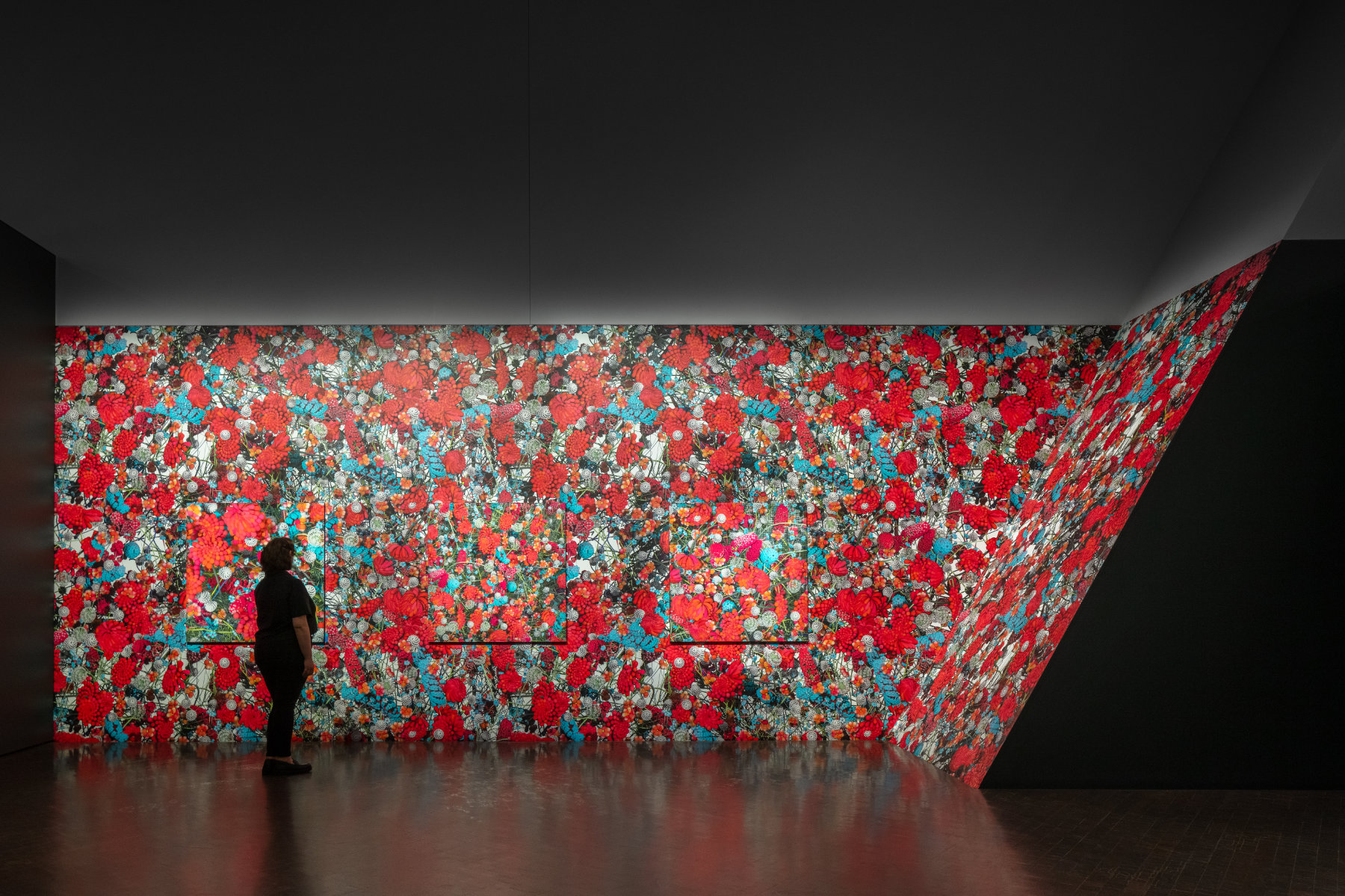 A person views a large wall covered in bright red, pink, and blue floral imagery. The imagery extends to a slanted side wall on the right.